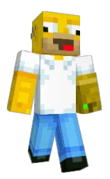 choraprovoid2408's Minecraft skin wearing the Pan cape
