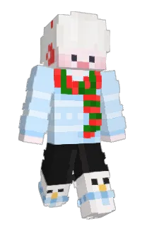 Front of BOKKMA's skin