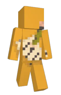 Front of pzhk's skin