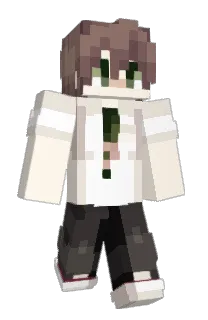 bascorg's Minecraft skin