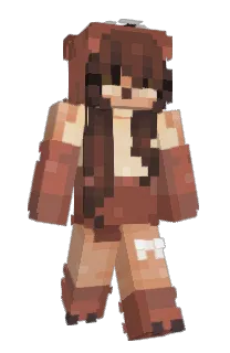 Front of PopAlibi's skin