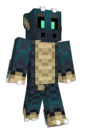 Skin preview