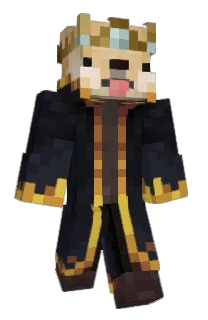 Front of OmarcinPin's skin