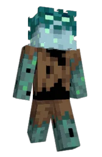 Front of Cacteen's skin