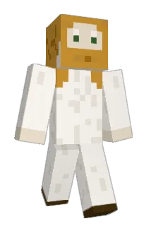 b4_Pakon Minecraft avatar full body