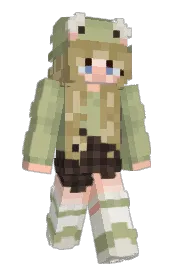 Skin preview