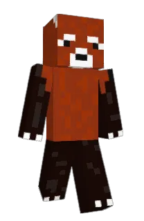 Front of BioTrashBag's skin