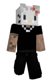 Front of _ZYP's skin