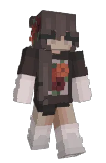 Front of gicky's skin