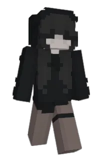 Front of HttpError's skin