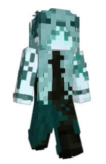 Front of HogHunt's skin