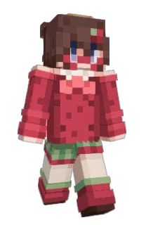 Front of Minecraft skin