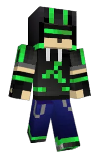 Front of Videodisc's skin