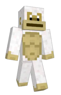 Front of noobRS's skin
