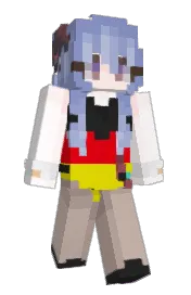 Skin preview