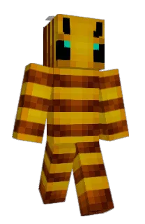 Front of Sword's skin