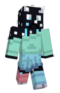 Front of tokipona's skin