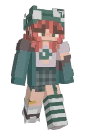 Skin preview