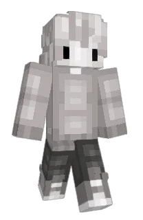 Front of TheGallium's skin