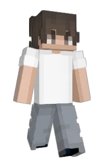 Front of Jettico's skin