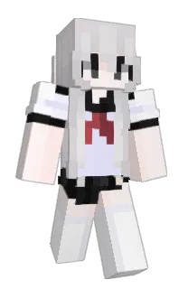Front of nfz's skin