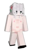 sbnc