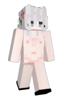 Front of sbnc's skin