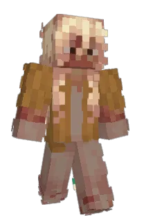 Front of VI_84's skin