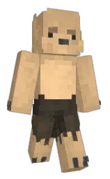 Classic Minecraft skin