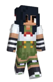 Skin preview