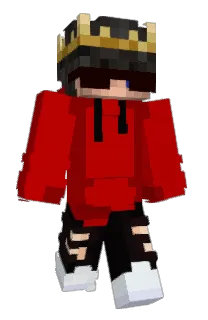 Front of Jwigga's skin