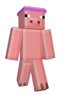 xylopopo's Minecraft skin