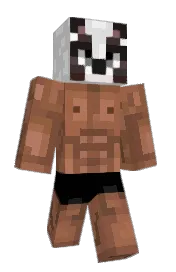Skin preview