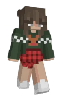 Front of Minecraft skin