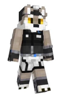 Front of Skveit_'s skin