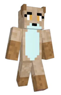 Front of EchoGaming64's skin