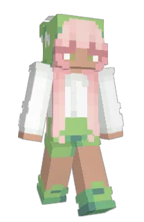 Front of StellaX_'s skin