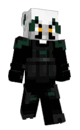 black and bush Minecraft skin — Slim model