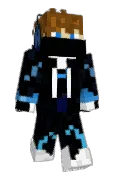 ARIAN3101