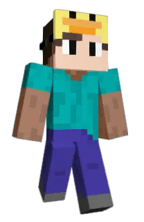 Front of poniks's skin