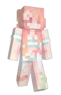 Front of Minecraft skin