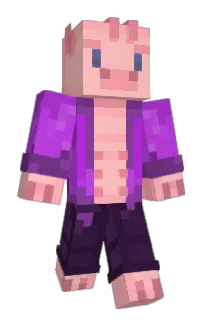 pikacenek1's Minecraft skin