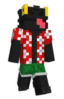 Front of __Dragons__'s skin