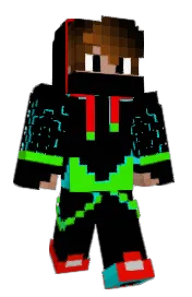 Skin preview