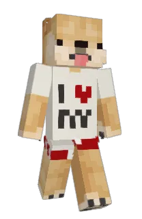 Front of Minecraft skin