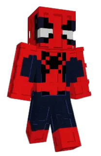 Front of Zonczin's skin
