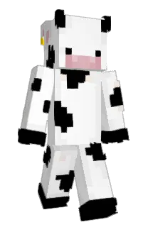 Front of Jelkers's skin