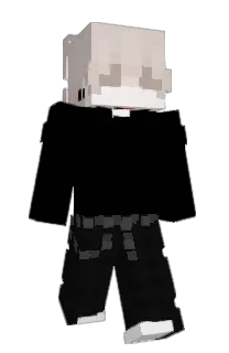 Front of kwsys's skin