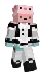 YuanShen_bin's Minecraft skin wearing the 15th Anniversary cape