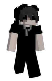 Front of shhort's skin